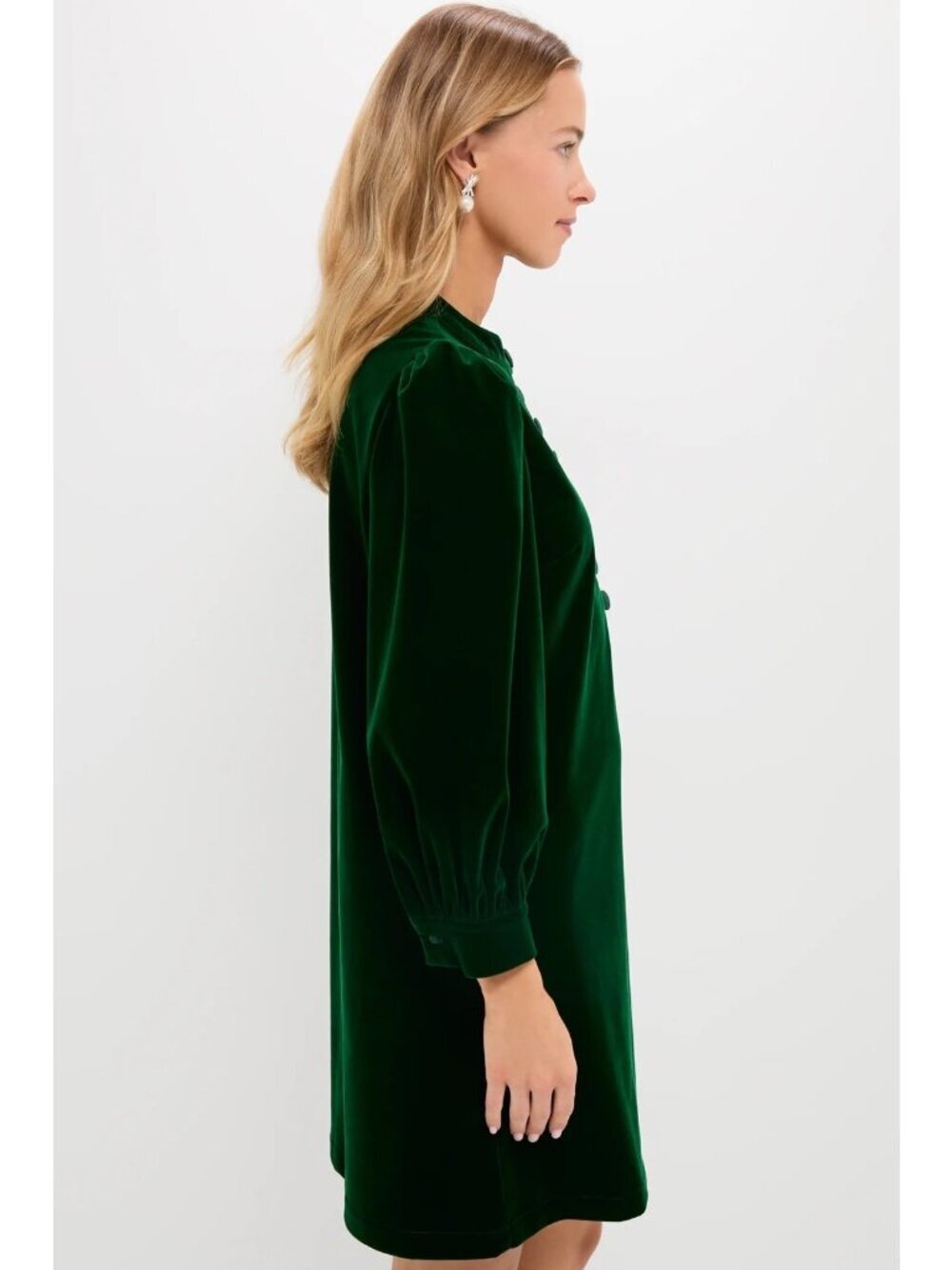 Tuckernuck Pomander Place Hunter Green Velvet Samantha Dress - Picture 2 of 11